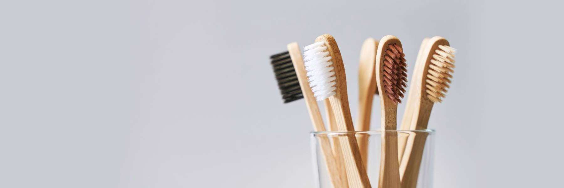 Root Canal Therapy | Dentist